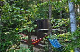 Głuszecki las - Foto 19