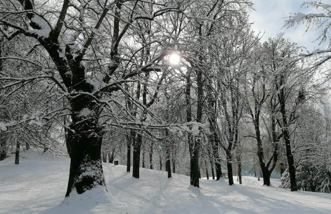 Belvilla by OYO Negritella Quadri Sette - Foto 31