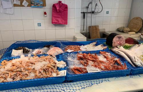 Sol y Mar - Photo 12