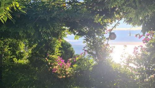 Villa Cokkinis - Foto 3