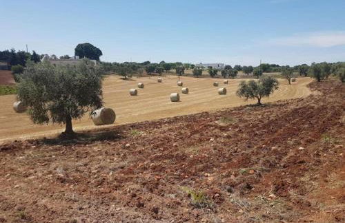Tranquil Villa in Apulia - Foto 28