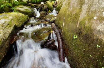 Windows Over Waterfalls - Foto 13