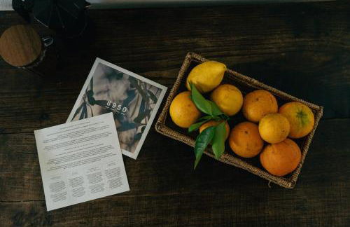 CABRA - Porto Covo - Foto 37