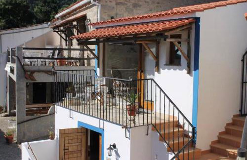 Horta Do Zé Miguel - Foto 48