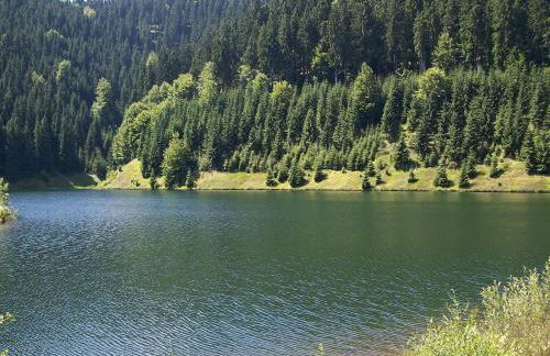 Apartment near Rennsteig - Photo 32