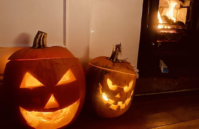 French Vintage Cottage in the Heart of the Fens - Foto 30