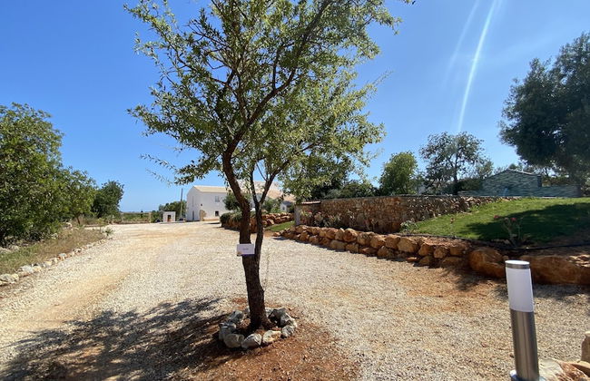 CIP V8 Gold - New!!! - Foto 45