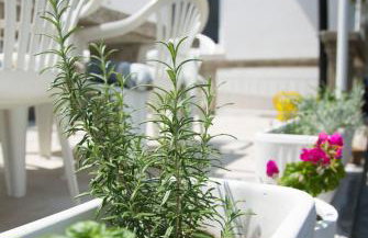 Casa Blanca White House - Foto 10