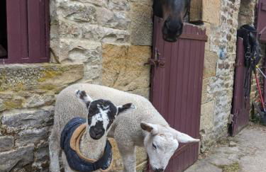 The Bothy at High Frost Hall - Foto 19