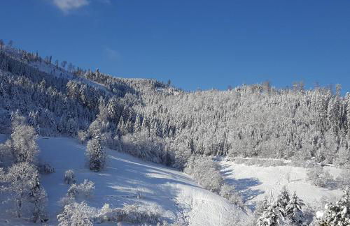 Bergforelle - Bilderbuchausblicke, Sauna und Genussmomente in einer ehemaligen Kapelle - Foto 27