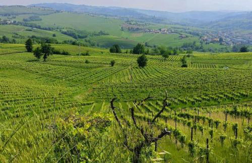 [Oltrepo'] Dimora nei vigneti vicino a Ics Maugeri - Foto 6