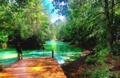 Waterfront Container House In A Magical Forest! - Foto 25