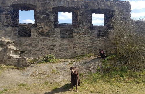 Ferienhaus Leopold mit Burgblick an der Mosel - Foto 7