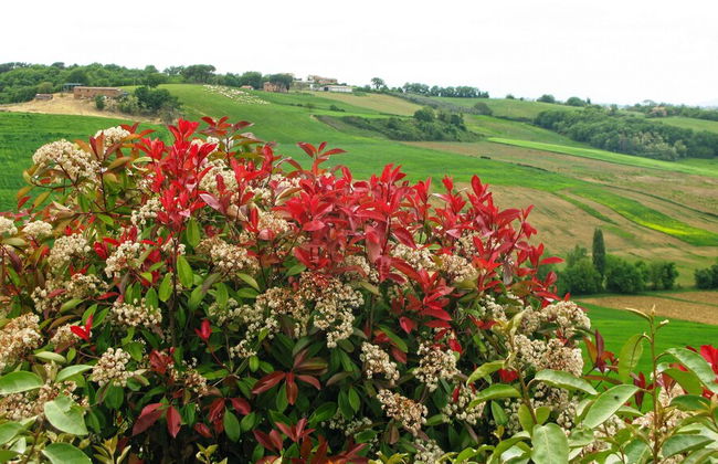Agriturismo Santa Margherita - Photo 52