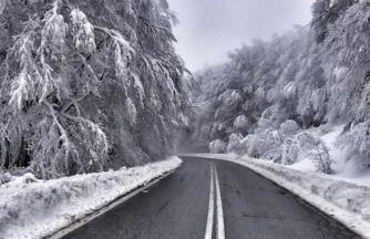 La maisonnette - Foto 39