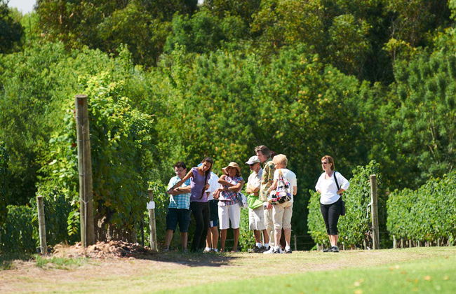 Visita a la Bodega Bouza - Foto 4
