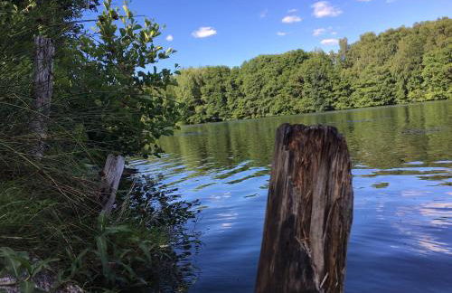 Ferienwohnungen Heideidylle - Foto 12