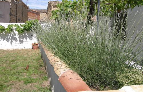 Casa Rural Cariño - Foto 37