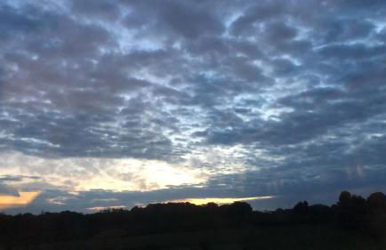 Ferienhaus Wieden am Deich - Foto 26