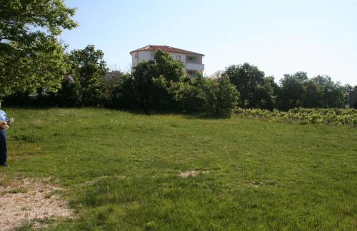 Apartments by the sea Caska, Pag - 202 - Photo 10