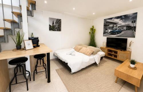 Duplex with private outdoor spa close to Strasbourg city center - Foto 9