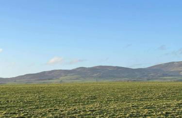 Peaceful Seaside Getaway - Foto 23