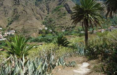 Casas Rurales Hermigua - Foto 37