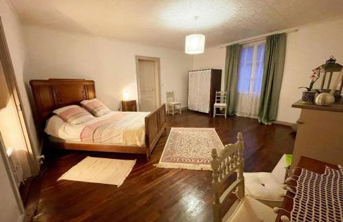 Gîte spacieux avec jardin et animaux acceptés près de Blois - FR-1-491-472 - Foto 1