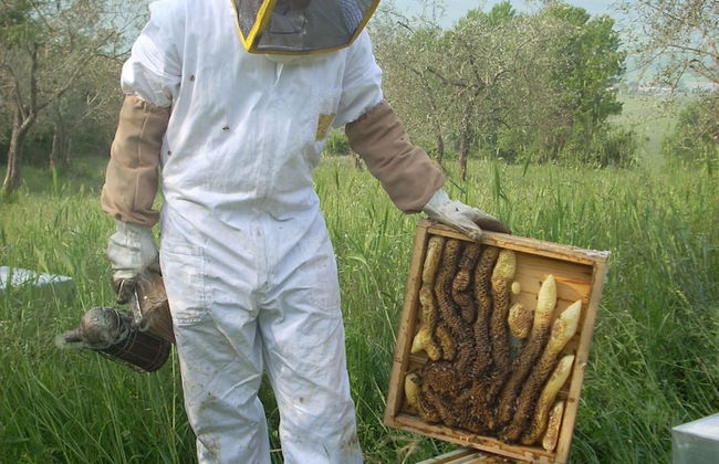 Le Roghete - Foto 31