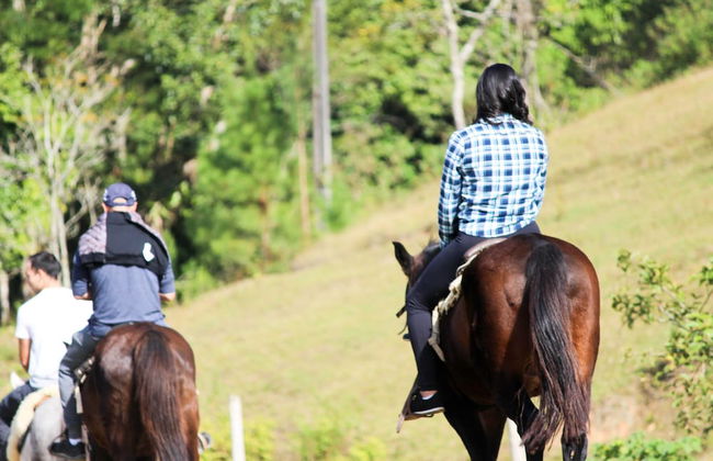 Hotel Fazenda Casarão do Vale - Foto 31