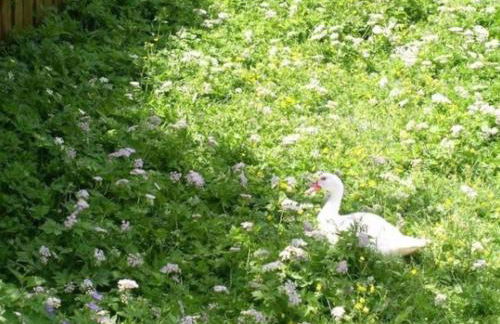 Holiday home guest comfort - Foto 18