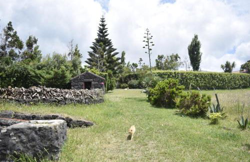 Quinta da Meia Eira - Photo 72