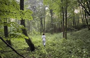 Świerkowe Ranczo Raciszewo - Foto 43