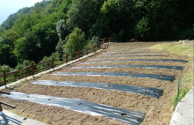 Agriturismo da Ysy - Foto 37