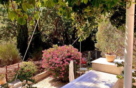 Blumenhaus (Spiti Louloudia) - Foto 24