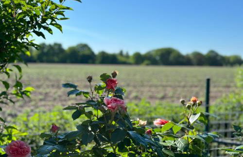 Ferienwohnung Cléo - 5 Minuten vom Schloss Dankern entfernt - Foto 16