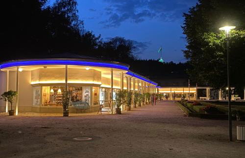 FeWo Roland Ranft direkt am Kurpark Barrierearm 60qm - Foto 55