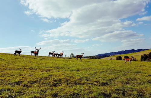 Domek Kozacki - Foto 18