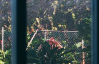 Hotel Rural La Casa Amarilla - Foto 27