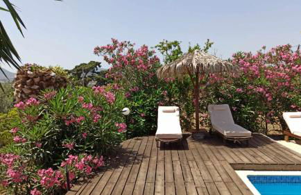 Orfeas Studios Molivos - Photo 43