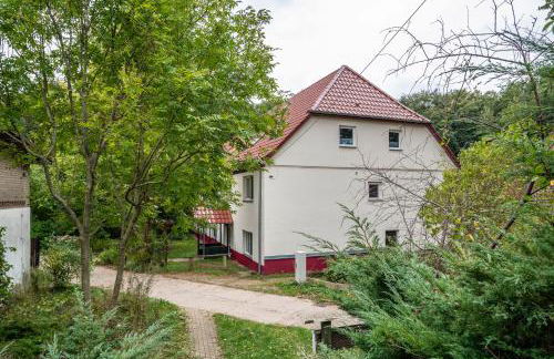 Krüseliner Mühle - Ferienwohnungen - Foto 20