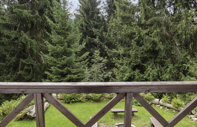 8 bedroom House in Harrachov with garden - Photo 19