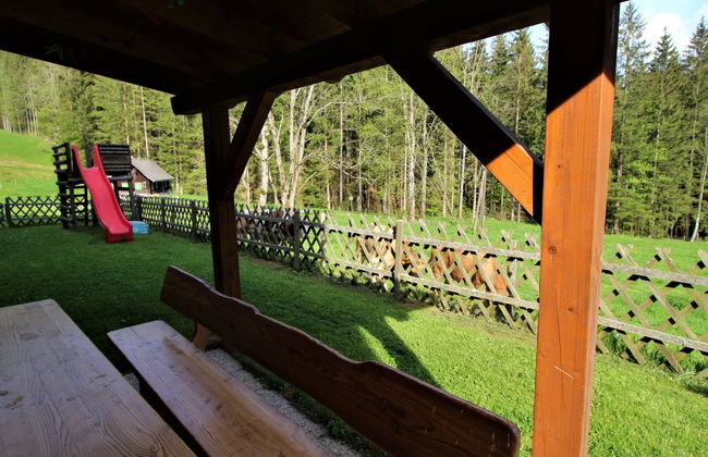 Krechen Alm - Foto 45