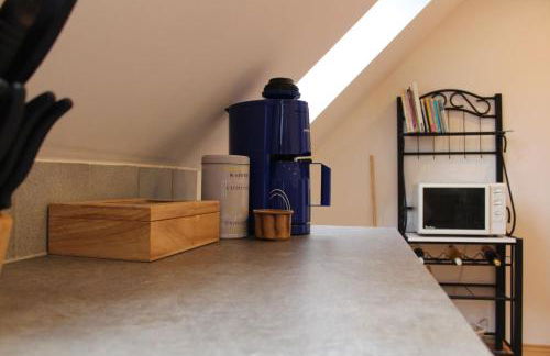 OG Die alte Stadtmühle direkt an der Flämingskate - Foto 8