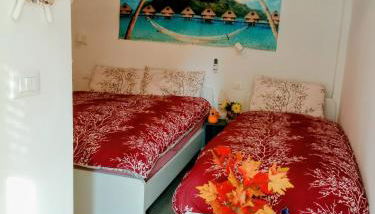 La perla di Maria - Foto 1