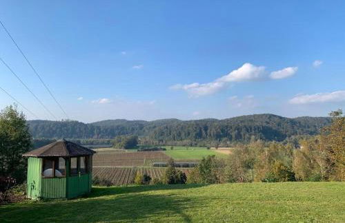Einzigartiger Panoramablick, Bodensee und Messe in der Nähe - Foto 15
