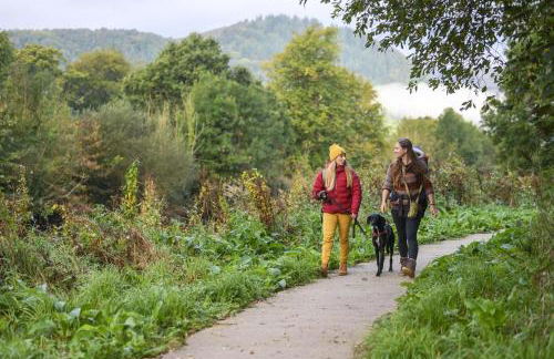 1 Bed in Llwynygroes oc-y29714 - Foto 16