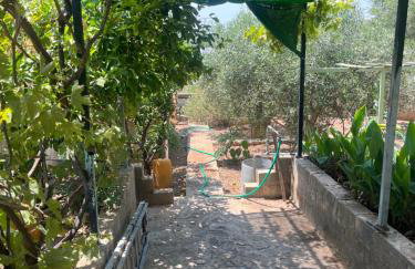 Kristas studio - Foto 12