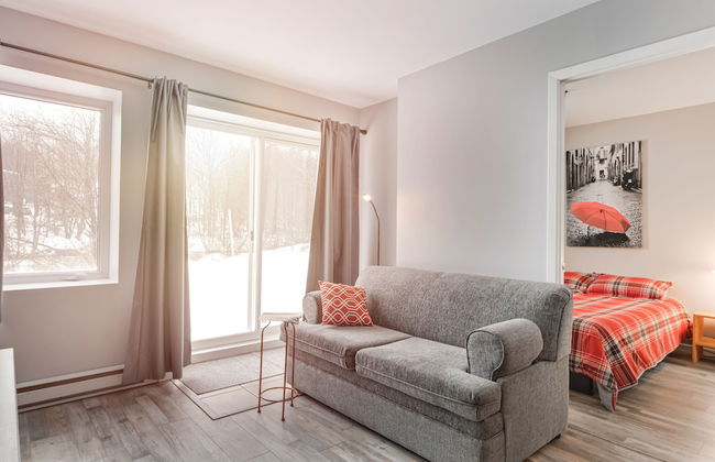 Le Lilypad-Condo à louer à Stoneham - Foto 6