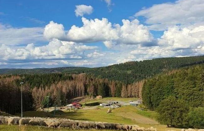 Apartment in Schnett Near the ski Area - Foto 30